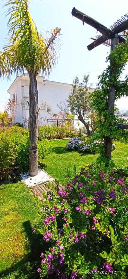 La Villa Degli Dei - Guest House Кастелламмаре-ді-Стабія Екстер'єр фото