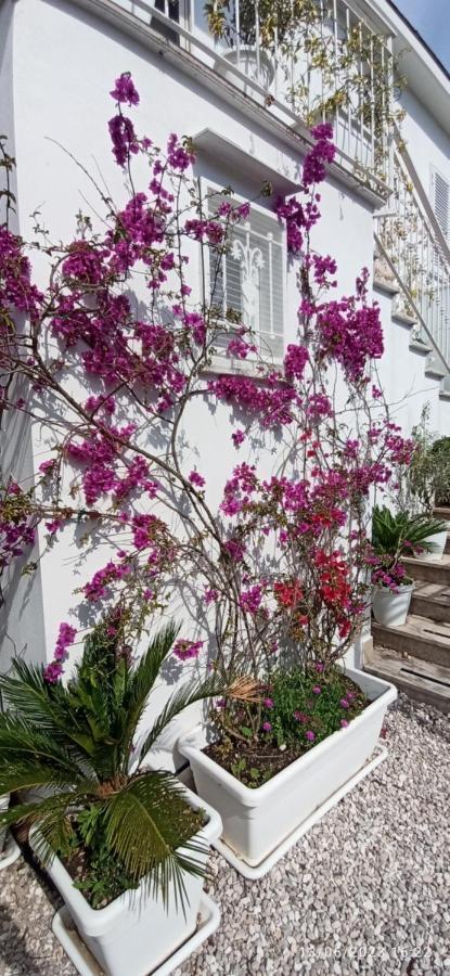 La Villa Degli Dei - Guest House Кастелламмаре-ді-Стабія Екстер'єр фото